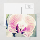 Orchid Colors Briefkaart (Voorkant / Achterkant)