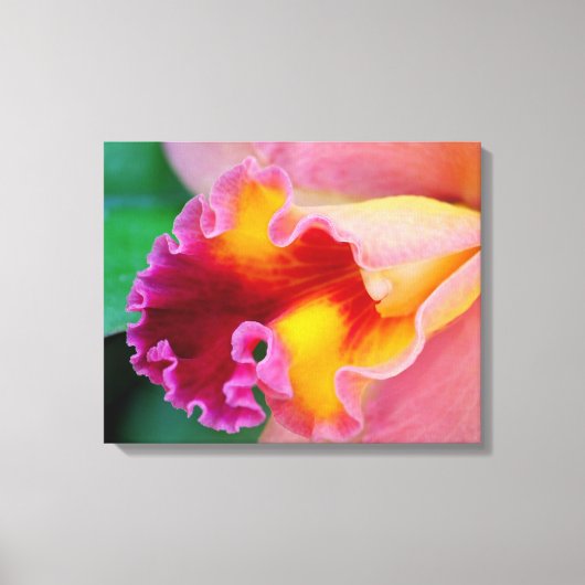 Orchid Colors Canvas Afdruk (Voorkant)