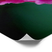 Orchid Colors Poster (Hoek)
