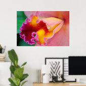 Orchid Colors Poster (Thuiskantoor)