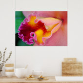 Orchid Colors Poster (Keuken)
