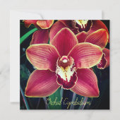 Orchid. Cymbidium (Voorkant)