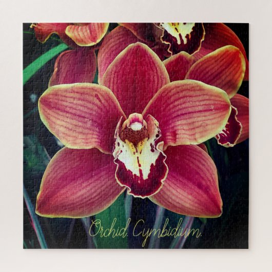Orchid. Cymbidium Legpuzzel (Verticaal)