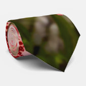 Orchid - Cymbidium - Vivien hainsworth x trinket Stropdas (Opgerold)