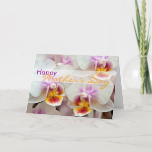 Orchid • De gelukkige Kaart van het Moederdag