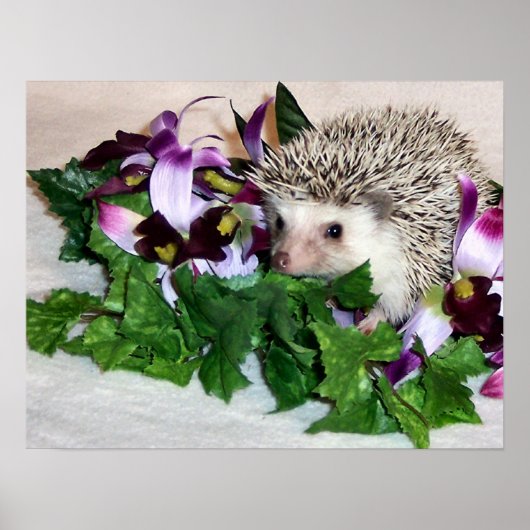 Orchid de Hedegel Poster (Voorkant)