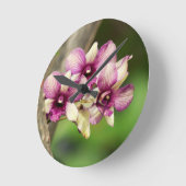 Orchid Delight Ronde Klok (Hoek)