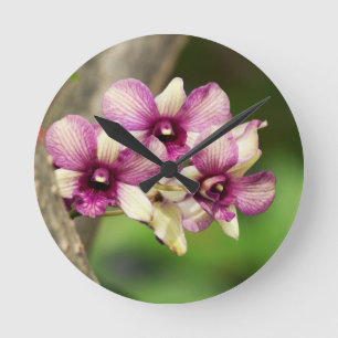 Orchid Delight Ronde Klok