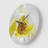 Orchid Dew Grote Klok (Hoek)