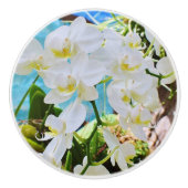 Orchid Drawer Knob Keramische Knop (Voorkant)