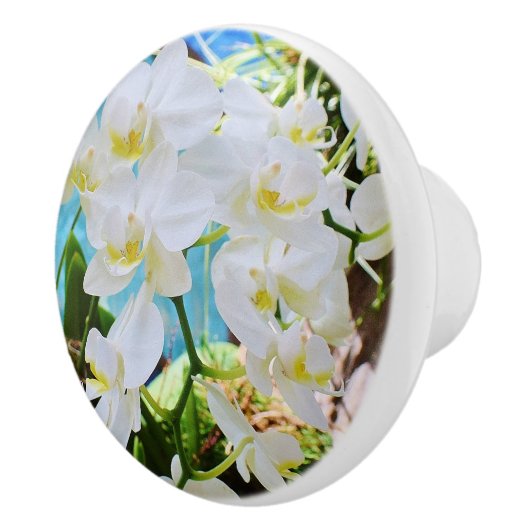 Orchid Drawer Knob Keramische Knop (Rechts)