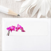 Orchid Etiket (Insitu)