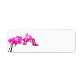Orchid Etiket (Voorkant)