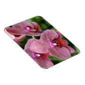 Orchid Flexible Magnet Magneet (Rechterzijde)