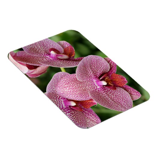 Orchid Flexible Magnet Magneet (Rechterzijde)