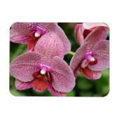 Orchid Flexible Magnet Magneet (Horizontaal)