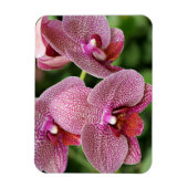 Orchid Flexible Magnet Magneet (Verticaal)