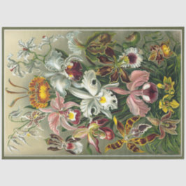 Orchid Floral Ernst Haeckel Ontkoppeling Tissuepapier
