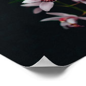 Orchid Flower Black achtergrond Poster (Hoek)