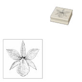 Orchid Flower Blossom Tropical Hawaii Botanisch Rubberstempel (Gestempeld)