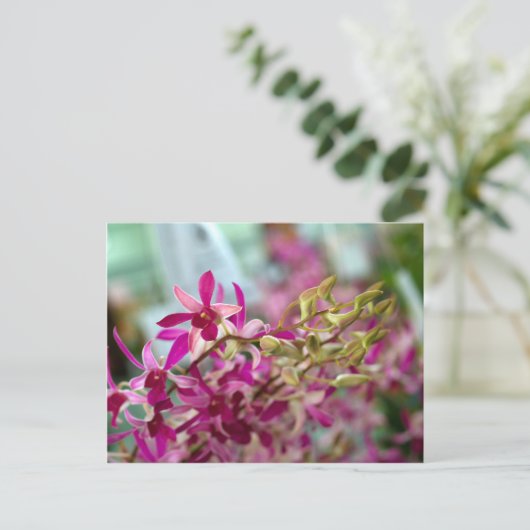 Orchid Flower Briefkaart (Staand voorkant)