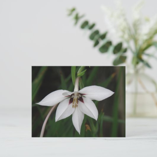 Orchid Flower Briefkaart (Staand voorkant)