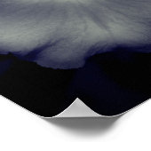 Orchid Flower Close Black and White Poster (Hoek)