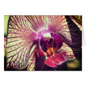 Orchid Flower Close Up Photography Note Card (Voorkant Horizontaal)