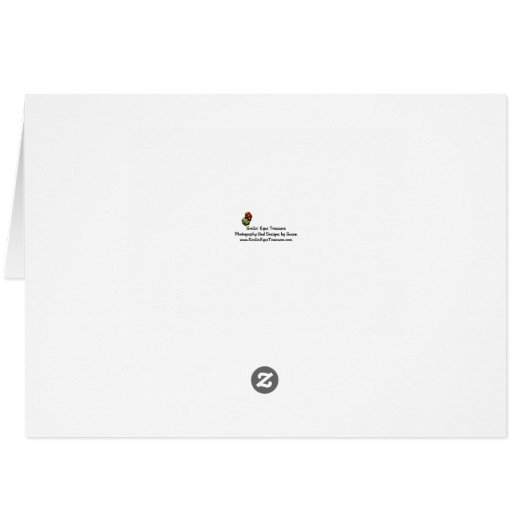 Orchid Flower Close Up Photography Note Card (Achterkant Horizontaal)