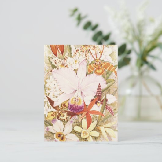  Orchid Flower  Florence Design Briefkaart (Staand voorkant)
