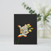 Orchid Flower Glow Effect Briefkaart (Staand voorkant)