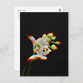 Orchid Flower Glow Effect Briefkaart (Voorkant / Achterkant)