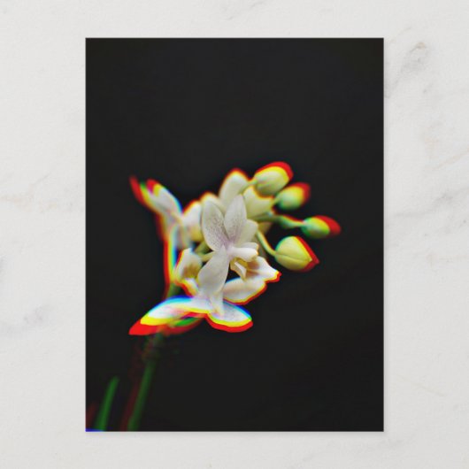 Orchid Flower Glow Effect Briefkaart (Voorkant)