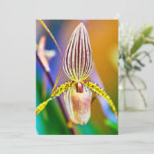 Orchid Flower Kaart (Staand voorkant)