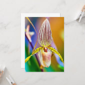 Orchid Flower Kaart (Voorkant / Achterkant in situ)