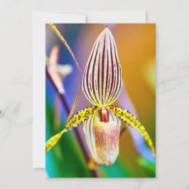 Orchid Flower Kaart