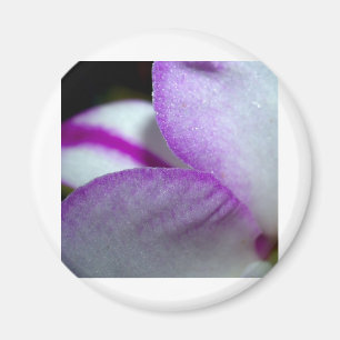 Orchid Flower Magneet