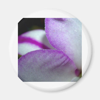 Orchid Flower Magneet