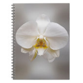 Orchid flower notitieboek (Voorkant)