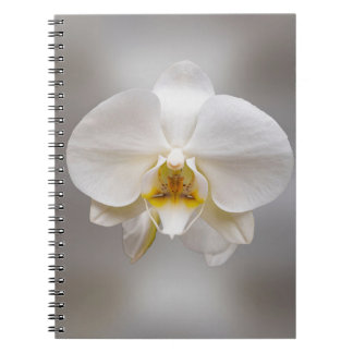 Orchid flower notitieboek