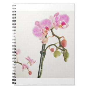 Orchid Flower Notitieboek