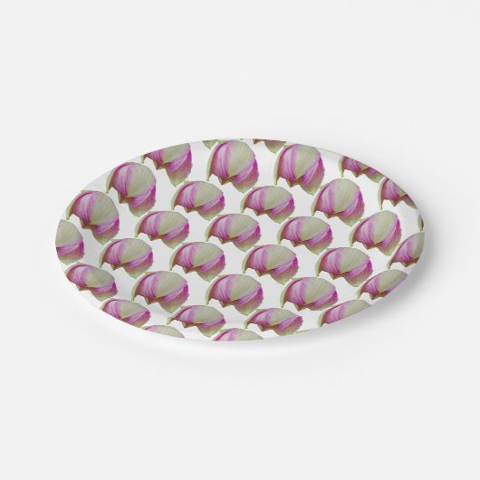 Orchid flower Opening geplakt op een papieren bord (Gekanteld)