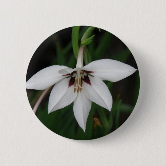 Orchid Flower Round Pin Ronde Button 5,7 Cm (Voorkant)