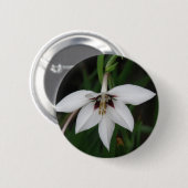 Orchid Flower Round Pin Ronde Button 5,7 Cm (Voorkant /achterkant)