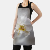 Orchid flower schort (Insitu)