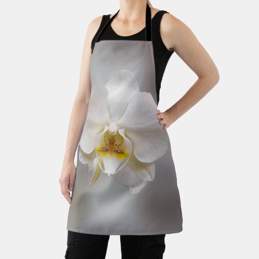 Orchid flower schort (Insitu)