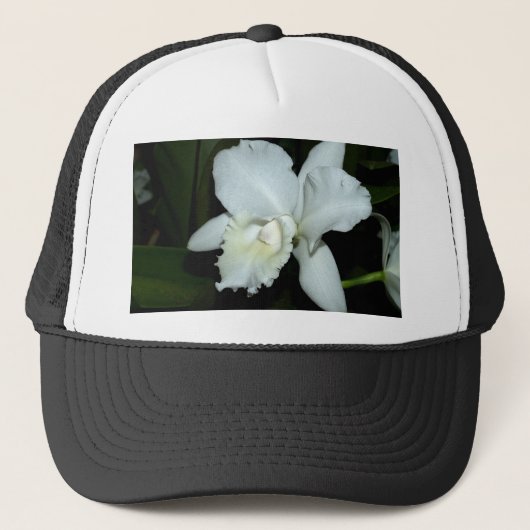 Orchid Flower Trucker Pet (Voorkant)