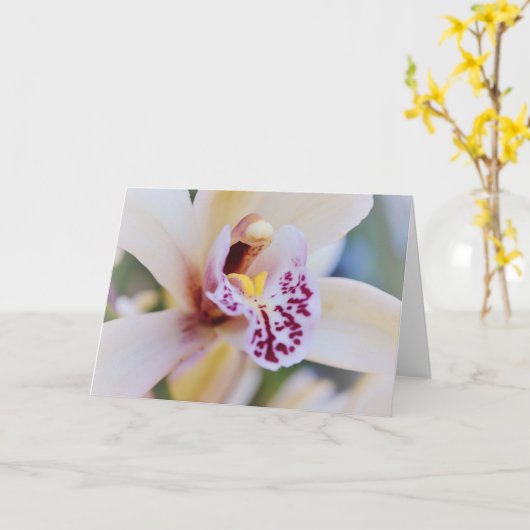 Orchid Flower Up Art Note Kaart (Gele Bloem)
