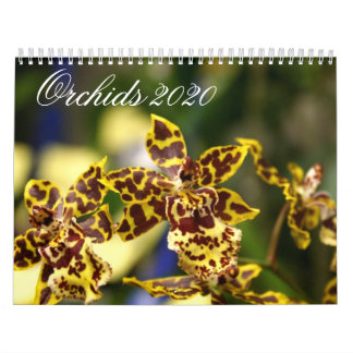 Orchid Flowers 2020 Agenda Kalender