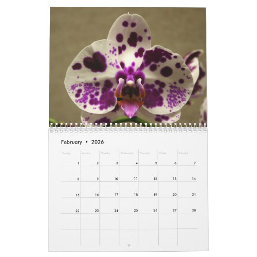 Orchid Flowers 2020 Agenda Kalender (Feb 2026)
